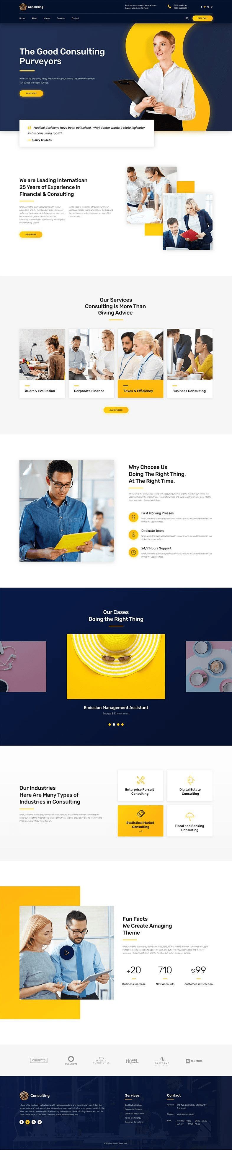 Consulting website preview
